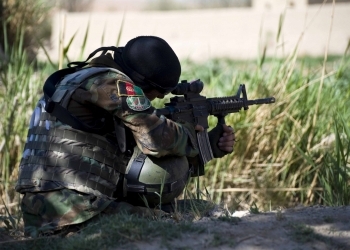 An Afghan Commando, with the Afghan National Army's 3rd Commando Kandak, scans the horizon while providing security during an operation to hinder insurgent activity in northern Panjwa'i District, Mar. 29, 2011, in Kandahar Province, Afghanistan. Assistance during the Commando-led operation was provided by U.S. servicemembers, with Special Operations Task Force - South, members of the Afghan National Civil Order Police and Panjwa'i Deputy Chief of Police, Mohibullah. (U.S. Army photo by Spc. Daniel P. Shook)(Released).