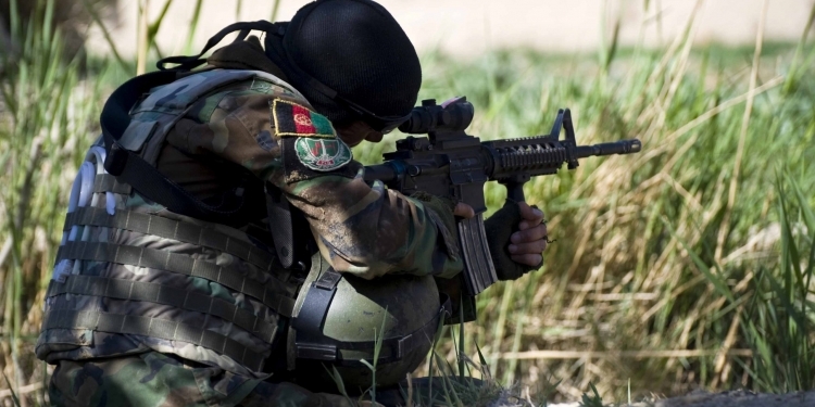 An Afghan Commando, with the Afghan National Army's 3rd Commando Kandak, scans the horizon while providing security during an operation to hinder insurgent activity in northern Panjwa'i District, Mar. 29, 2011, in Kandahar Province, Afghanistan. Assistance during the Commando-led operation was provided by U.S. servicemembers, with Special Operations Task Force - South, members of the Afghan National Civil Order Police and Panjwa'i Deputy Chief of Police, Mohibullah. (U.S. Army photo by Spc. Daniel P. Shook)(Released).