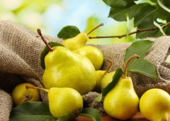 ?????????????????????????????????????????????????????????