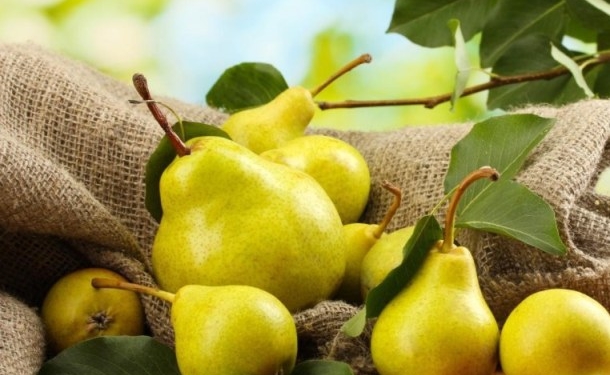 ?????????????????????????????????????????????????????????