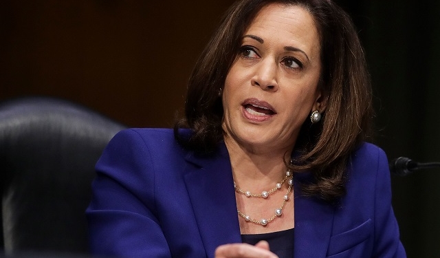 California Sen. Kamala Harris topped a recent survey asking respondents for their preferred running mate for Joe Biden.