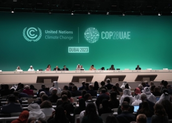 COP28 President Sultan al-Jaber attends a plenary session at the COP28 U.N. Climate Summit, Wednesday, Dec. 13, 2023, in Dubai, United Arab Emirates. (AP Photo/Kamran Jebreili)