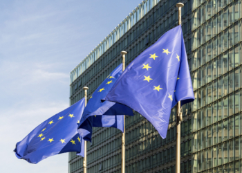 European Union flags flap in the wind ahead of an EU summit in Brussels, Thursday, June 27, 2024. European Union leaders are expected to discuss the next EU top jobs, as well as the situation in the Middle East and Ukraine, security and defence and EU competitiveness. (AP Photo/Geert Vanden Wijngaert)