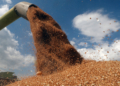 FILE PHOTO: A combine harvester loads a truck with wheat in a field near the village of Hrebeni in Kyiv region, Ukraine July 17, 2020. REUTERS/Valentyn Ogirenko